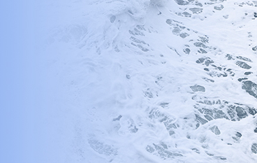  化機(jī)漿改性酶