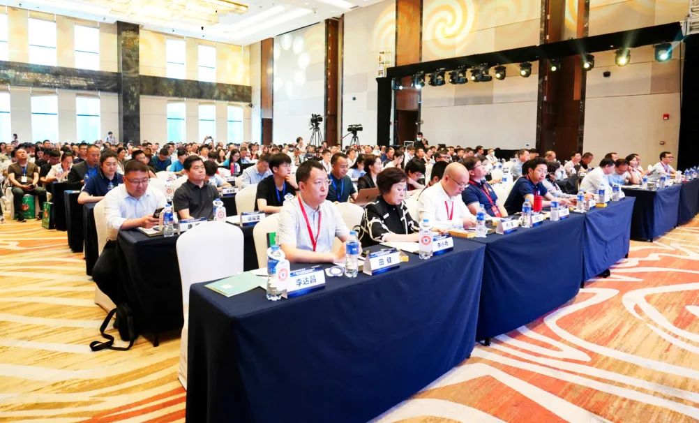 1684983920676394.jpg 01.jpg