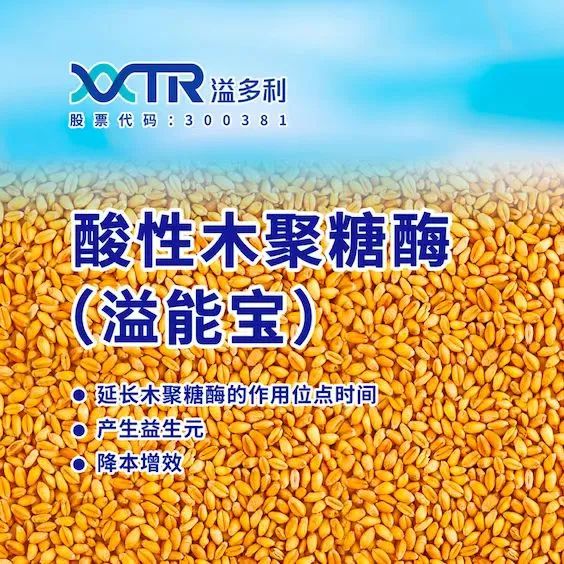 1684983951541855.jpg 03.jpg