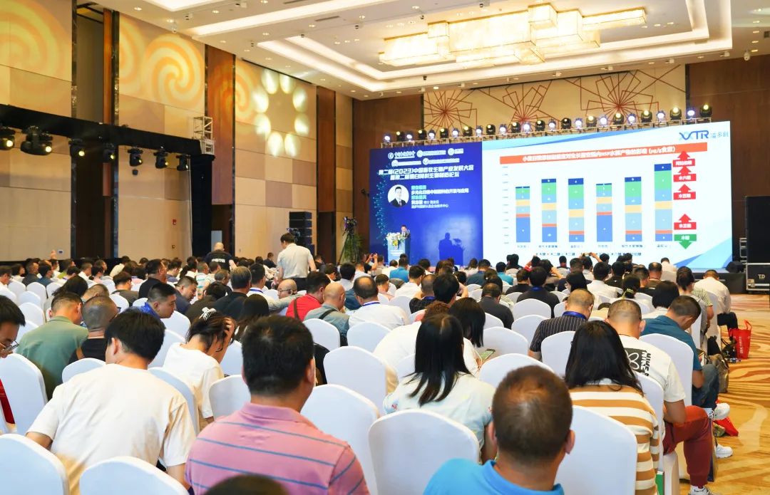 1684983971239048.jpg 04.jpg