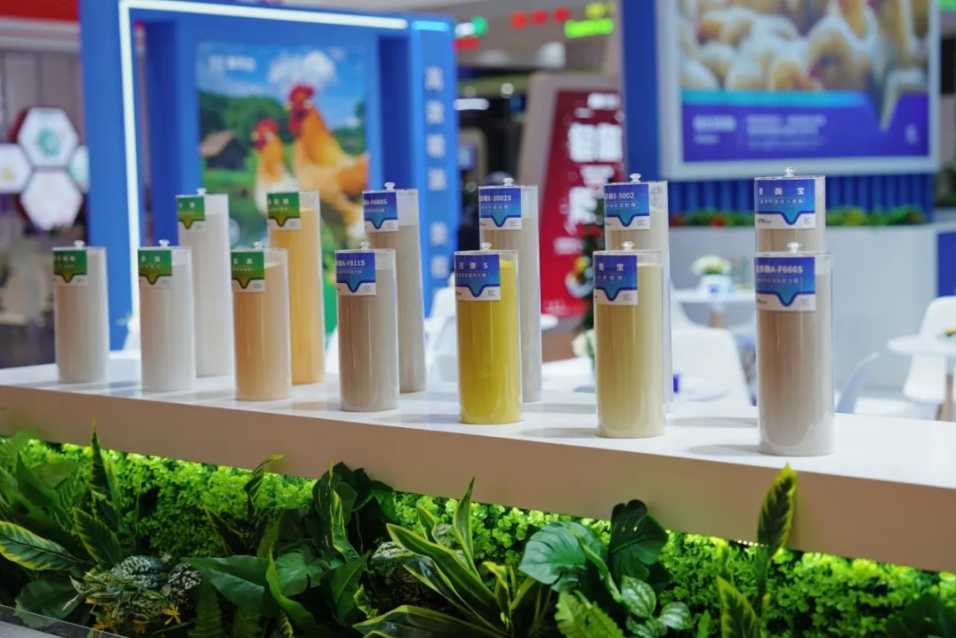 1745373354392427.png 09.png