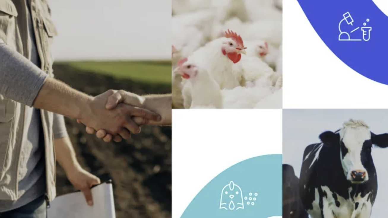 1750986203352735.png image.png